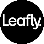 Leafly icon